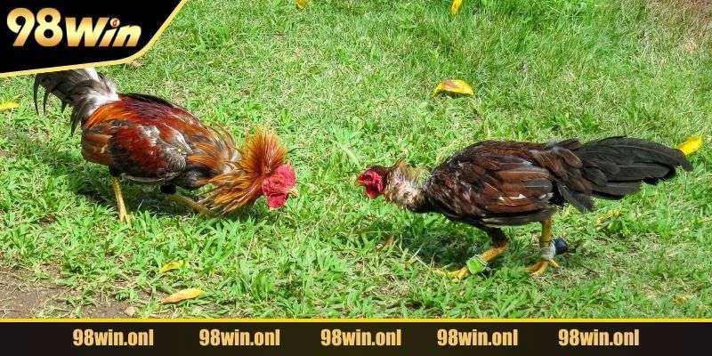 Khám phá những điều thú vị chỉ có tại thương hiệu